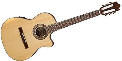 Amazon | 【国内正規品】 IBANEZ アイバニーズ エレクトリック・ガット
